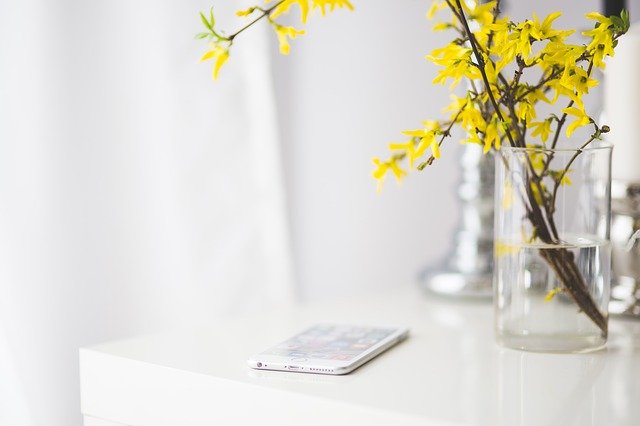 iPhone und gelbe Blüten